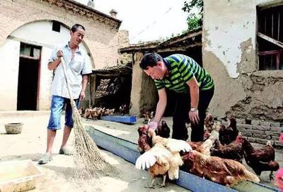 致富不忘桑梓情——家禽销售助乡亲共奔富裕路