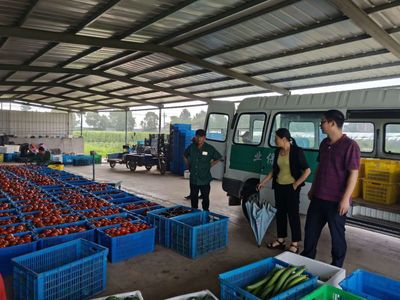 市发改局赴斜桥安保农业基地开展梅雨季节家禽销售价格监测工作