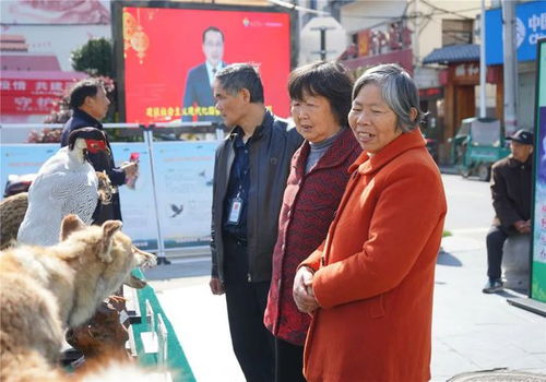 关爱生命，守护家园——开化野生动植物保护宣传月暨爱鸟周活动