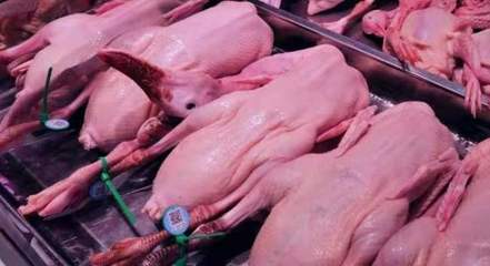 周到晨报丨沪苏通铁路二期获批直达浦东，南京路中秋焕新迎佳节，