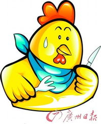 广州“冰鲜鸡”时代来临 专业人士解读消费新选择