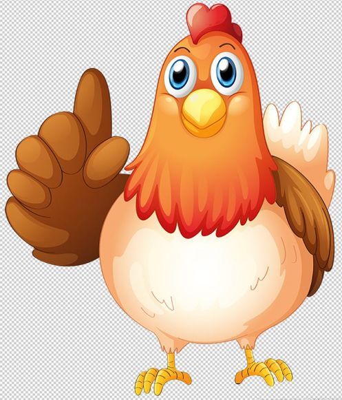 活禽市场交易受阻，家禽价格回涨缓慢